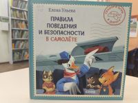 Как вести себя в небе: правила поведения в самолёте