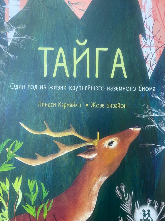 Taiga.jpg