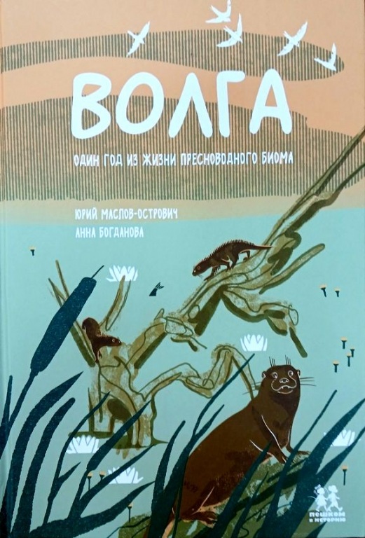 risunok_1.jpg