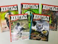 Журнал «В мире животных»: о братьях наших меньших