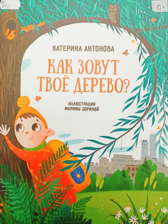 foto1.jpg