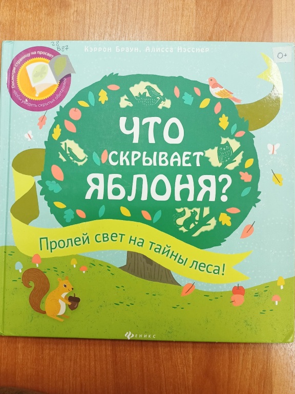 foto5.jpg