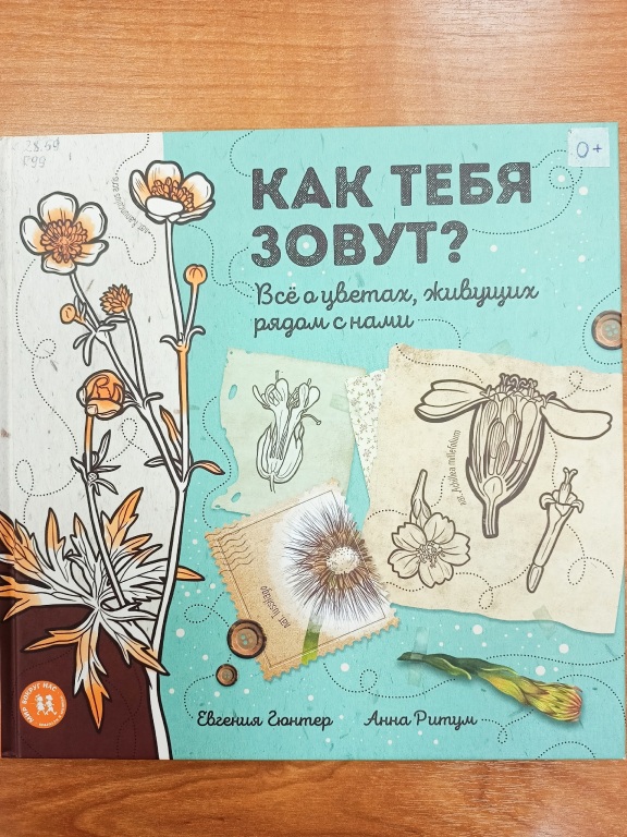 kak_tebya_zovut.jpg kak_tebya_zovut.jpg