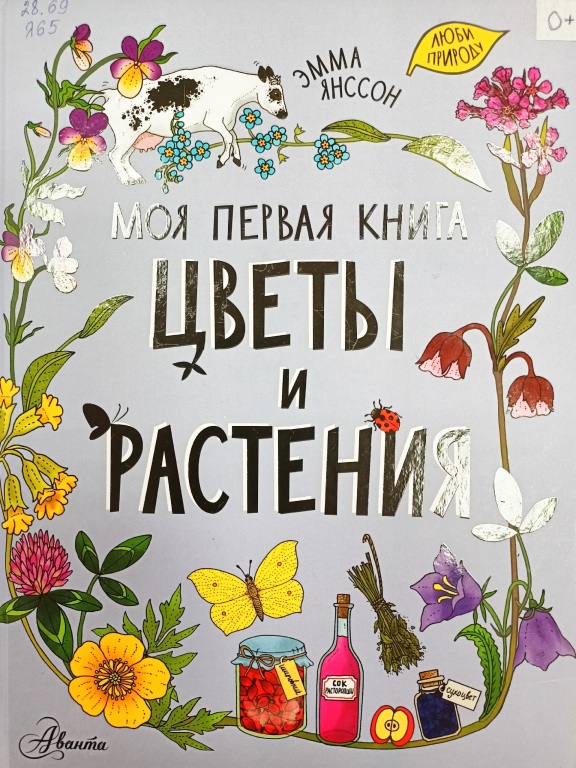 zvety_i_rasteniya.jpg zvety_i_rasteniya.jpg