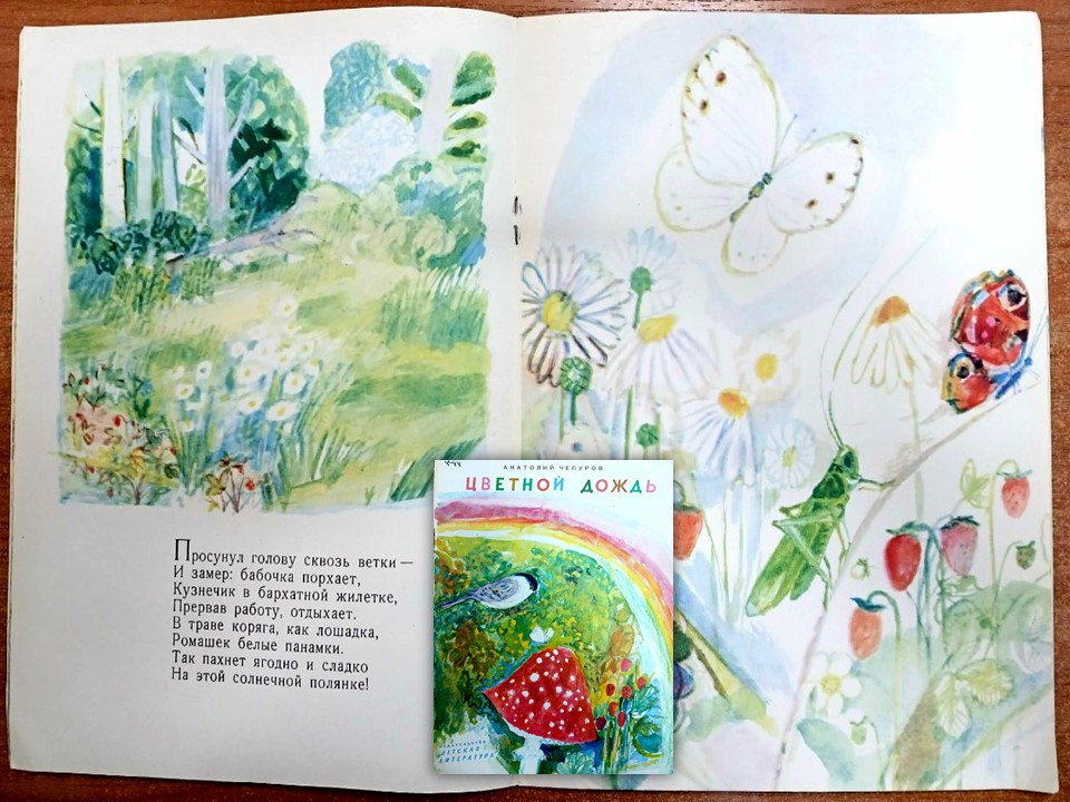 risunok_2.jpg risunok_2.jpg