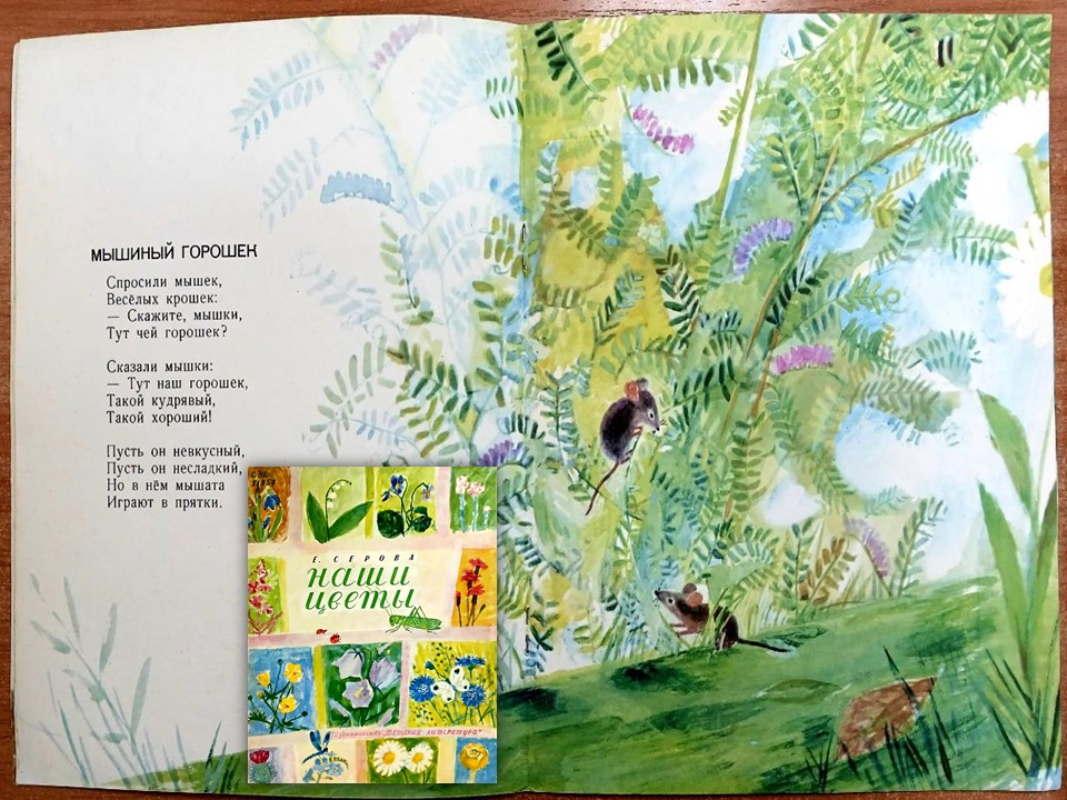 risunok_5.jpg risunok_5.jpg