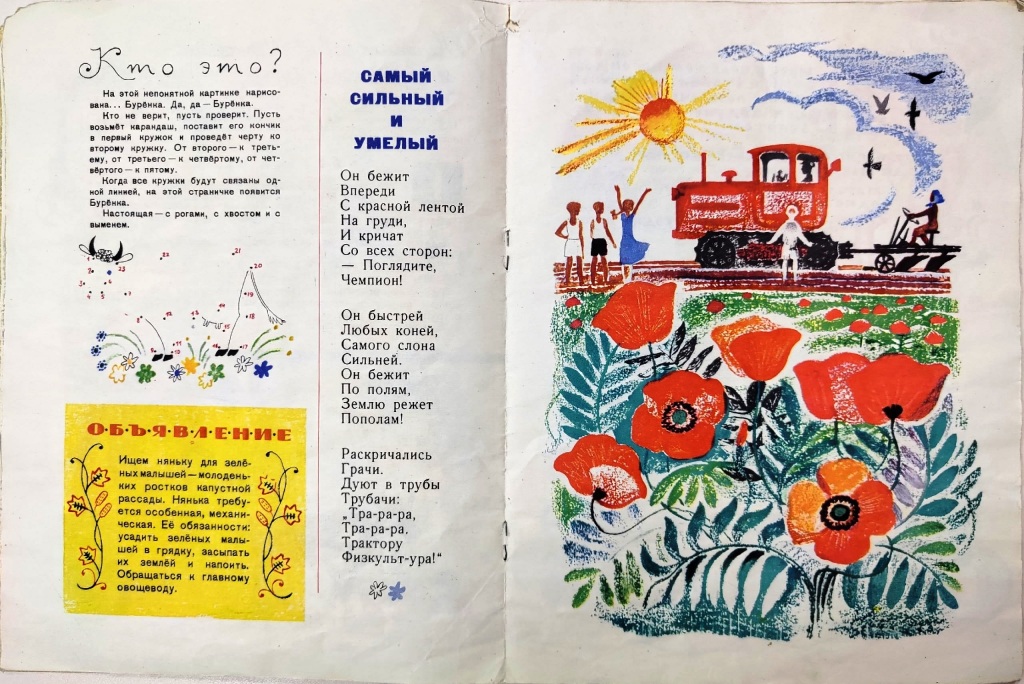 kapusta2.jpg kapusta2.jpg