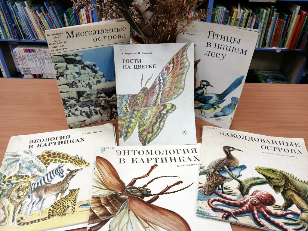 risunok_6.jpg risunok_6.jpg