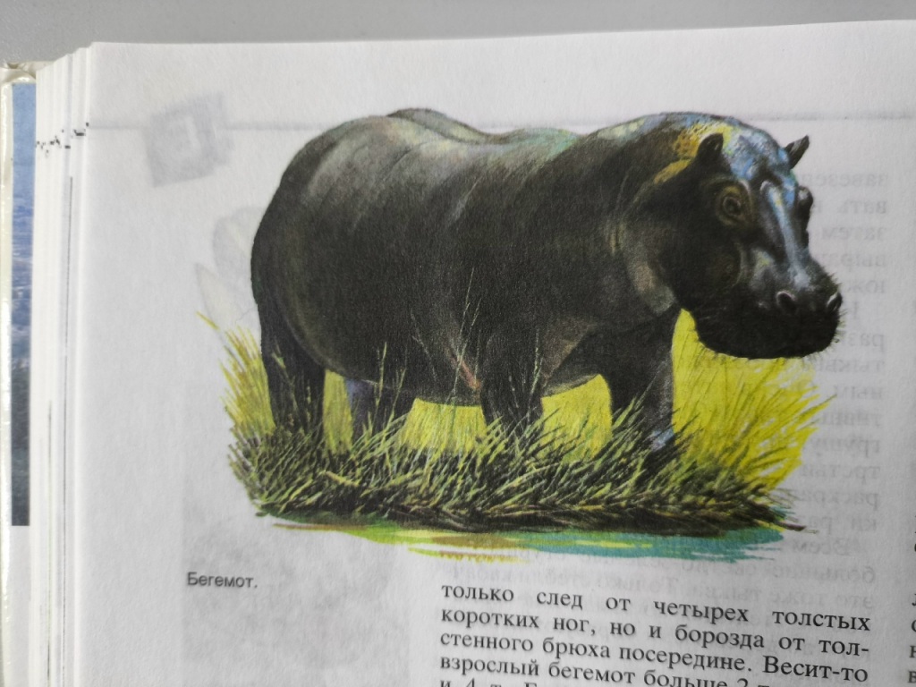 llrlo51Eo7PLu3vprRMHAP8pb_9VFBhgbYg2VlHvMYQFOm3ShXRBNMS4Lj7twM0Z0SYzrMyQEDN2lvRo6z8T1Nzs.jpg llrlo51Eo7PLu3vprRMHAP8pb_9VFBhgbYg2VlHvMYQFOm3ShXRBNMS4Lj7twM0Z0SYzrMyQEDN2lvRo6z8T1Nzs.jpg