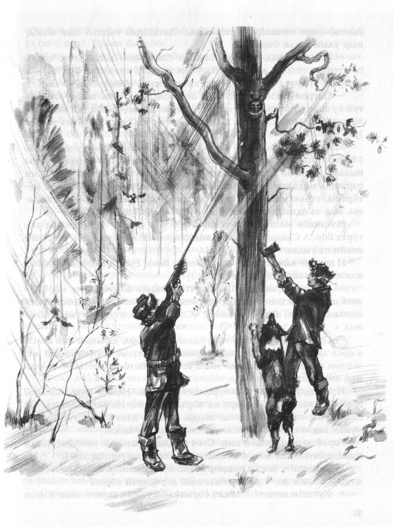 scan_5.jpg