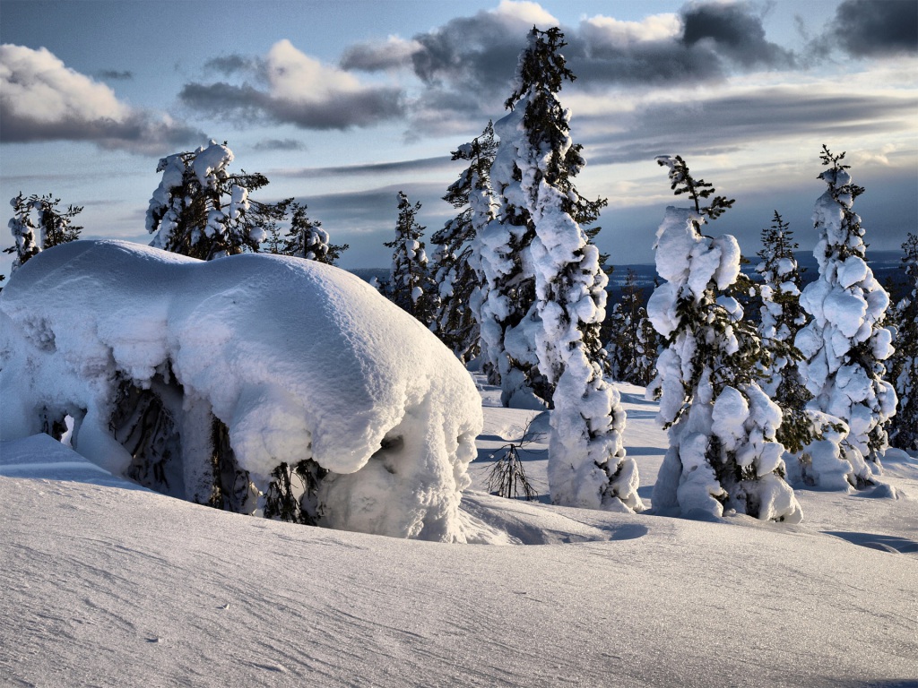Снег живет предложение. Лапландия снег. Снежная Лапландия. Финляндия горы. Лес зимний Лапландии.